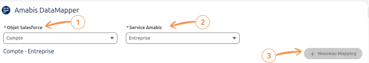Présentation du mapping pour la recherche d'entreprise