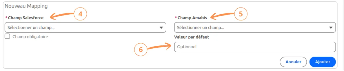 Présentation du mapping pour la recherche d'entreprise