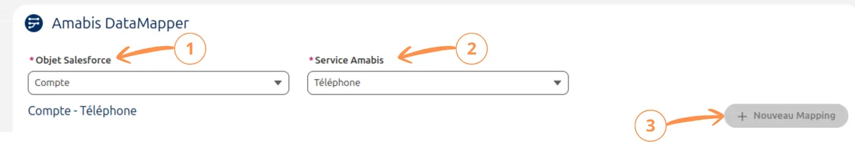Présentation du mapping pour un téléphone