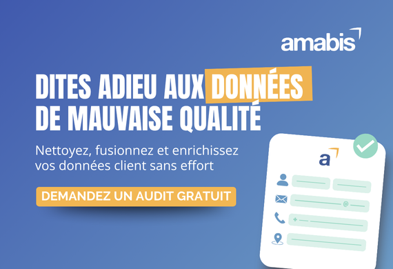 Audit Flash Offert - Amabis | Améliorez la qualité de vos données clients